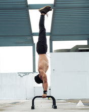 Load image into Gallery viewer, Pisikal Pro Paralettes (Medium)